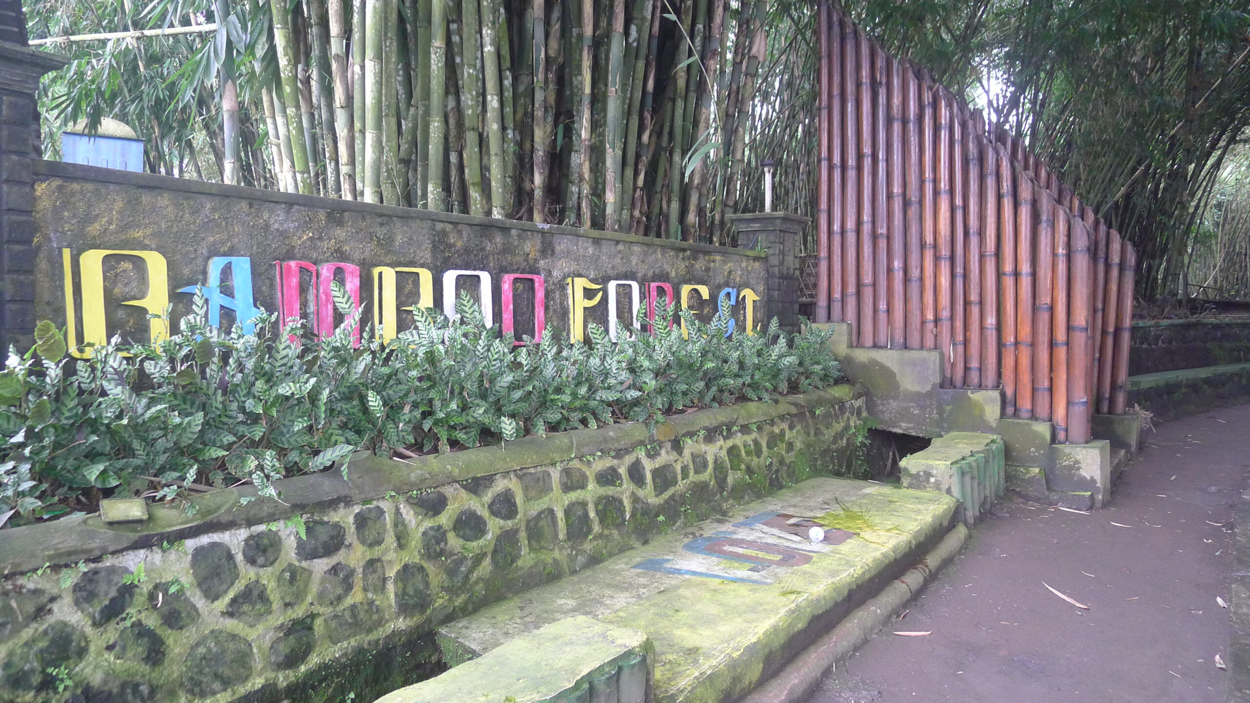 P1060113