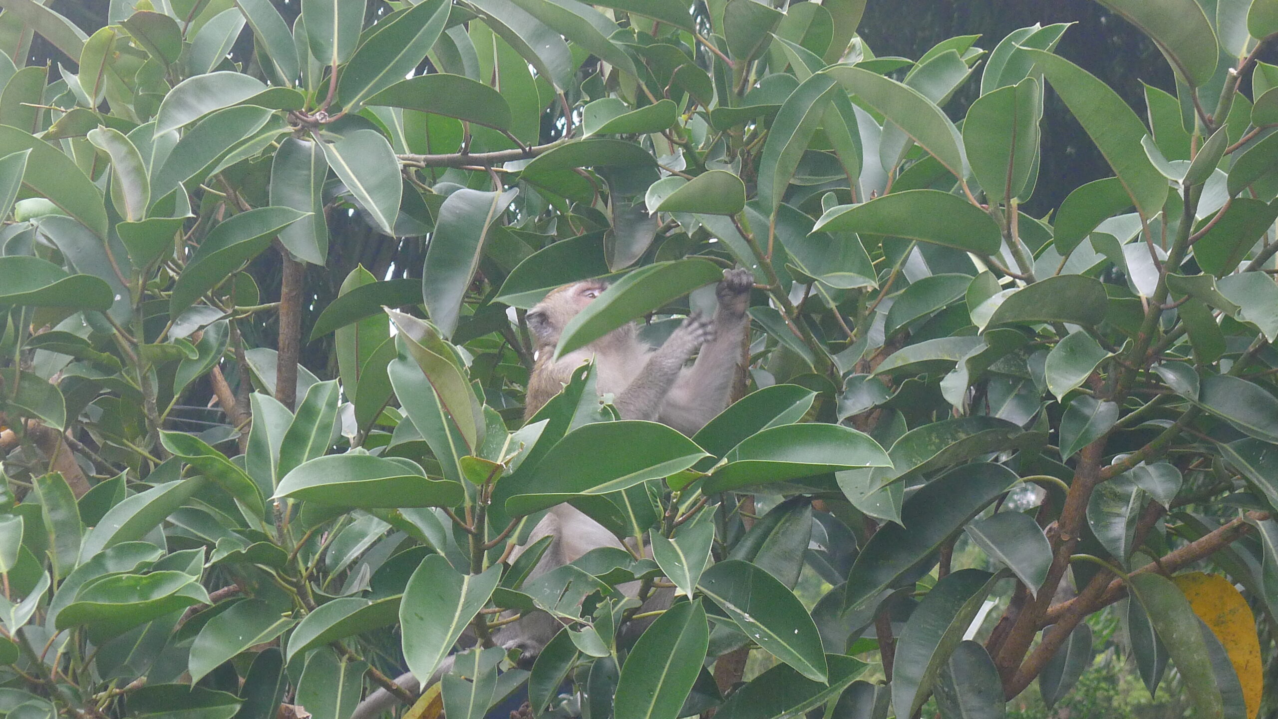 P1060222