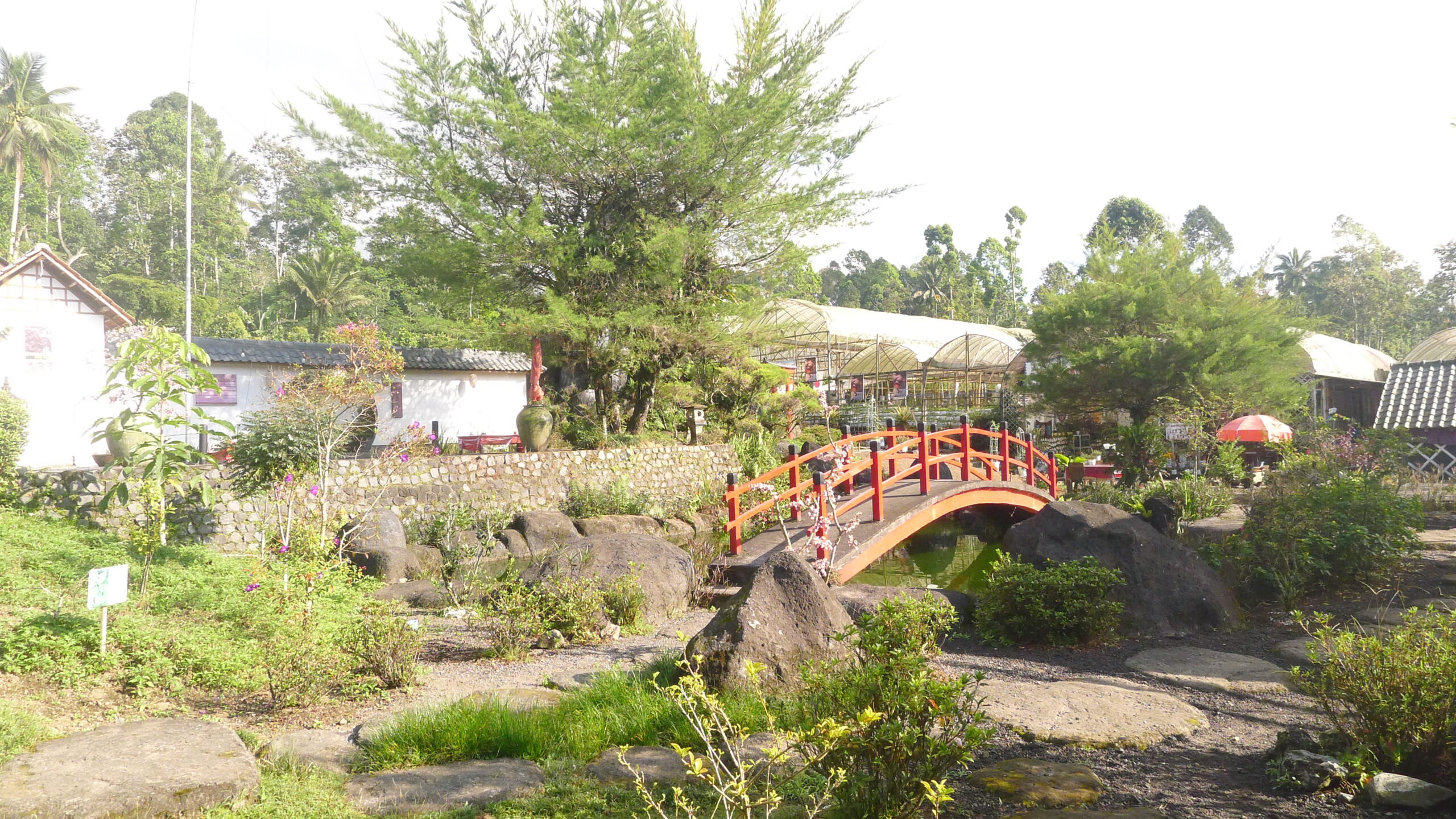 P1070599